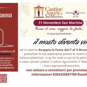 11 Novembre San Martino(2)