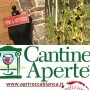 invito a partecipare cantine aperte2022 maggio